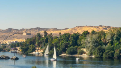 Ipsos Update February 2026