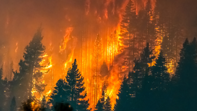 Claves Ipsos N°47 - Incendios en Biobío y Maule