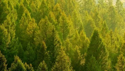 Sorge vor dem Klimawandel geht zurück | Ipsos