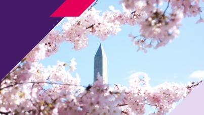 What Americans agree on about AI