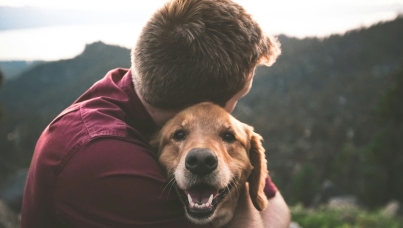 Pets: generations report