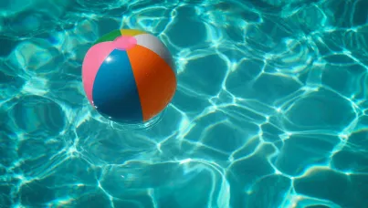 holiday