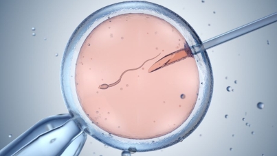 Artificial insemination or in-vitro fertilisation