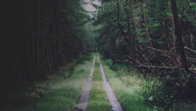  Ipsos Research Highlights - October 2017