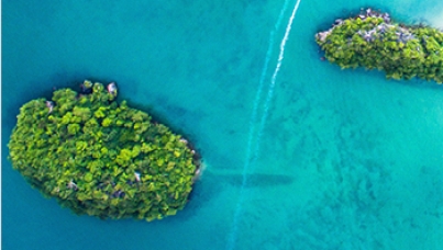 Love Island's Success: A Tale of Cultural Tension
