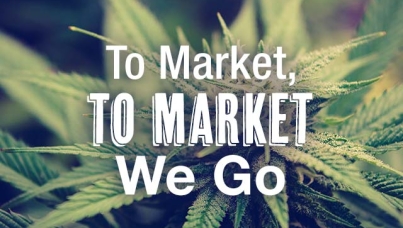 cannabis to market