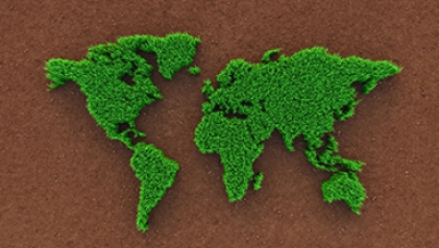 green party