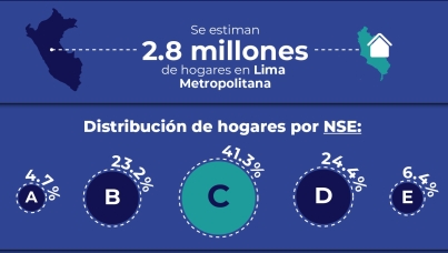 Perfiles Socioeconómicos de Lima