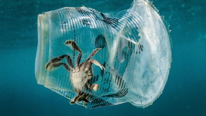 Zmena klímy naberá na dôležitosti pre ľudí všade vo svete 