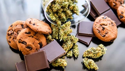 Marijuana Munching Mania Looms