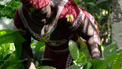 lady on the cocoa field