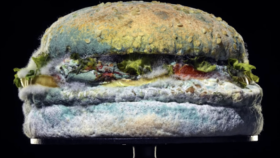 V hlavnej úlohe - pleseň. Je riskantná kreatíva efektívna? 