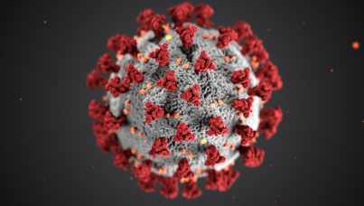 Signals#2 - Understanding the coronavirus crisis | COVID-19 | Ipsos