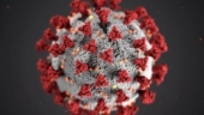 Señales: entendiendo la crisis del coronavirus