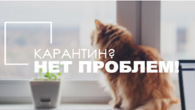 Карантин? Нет проблем! Качественные инсайты на расстоянии