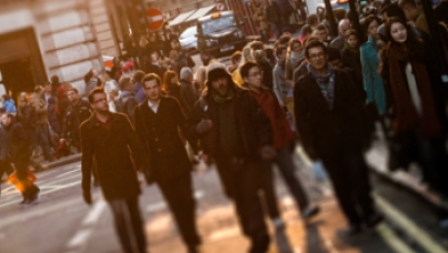 Crowd