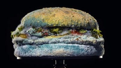 Mouldy burger | burger King | Ipsos | Breaking the Mold: Is Risky Creative Effective?