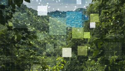 Canadians are Interested in more than One Kind of Green Recovery