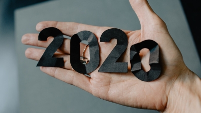 Rok 2020 v datech