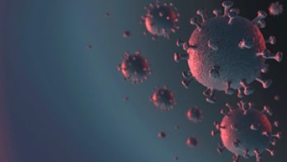 virus
