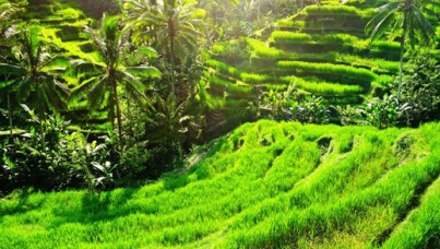 Flair Indonesia 2021