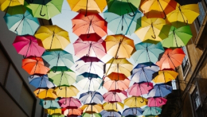 Let’s talk about risk and insurance