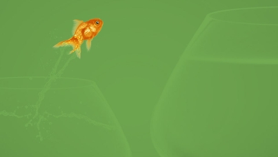 Taking a stand | Ipsos