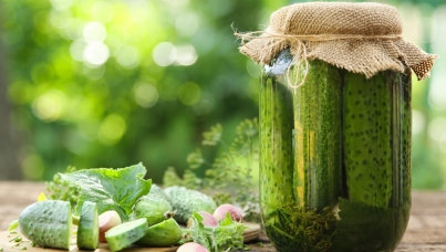 ЗАГОРОДНАЯ ЖИЗНЬ