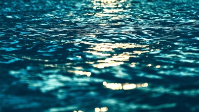 Flair France 2018 | Ipsos