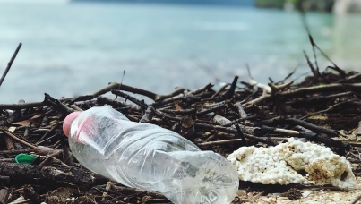 How MPs and business journalists view the importance of Environmental, Societal and Governance (ESG) issues in supermarkets, fashion and FMCGs - Ipsos 