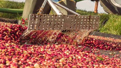 How science can pull more value from existing crops