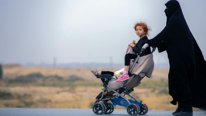 Ipsos | Cultural transferability