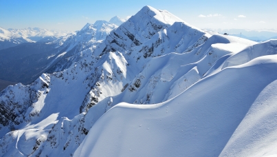 Ipsos Update – Январь 2024