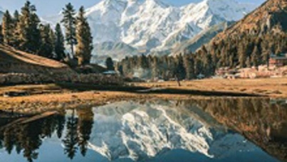 Ipsos Update – January 2025