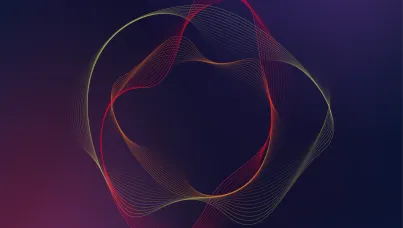 The Experience Perspective