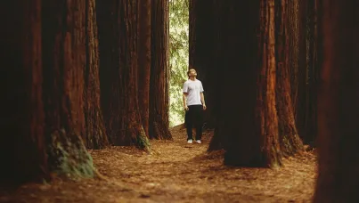 The longevity shift: strategic implications of the longevity medicine revolution - Ipsos