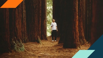 The longevity shift: strategic implications of the longevity medicine revolution