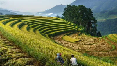 The CSO-CMO Sustainability Playbook 