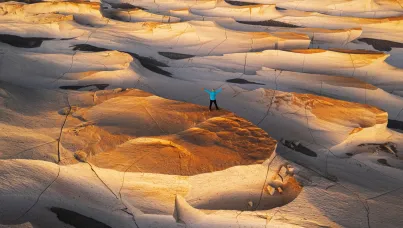 Ipsos Update - Enero 2026