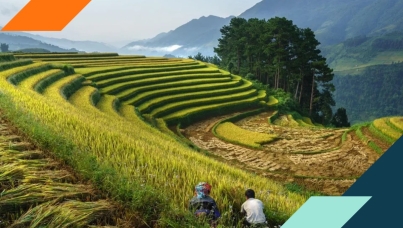 C-Suite Guide to Sustainable Growth : CMO-CSO Playbook