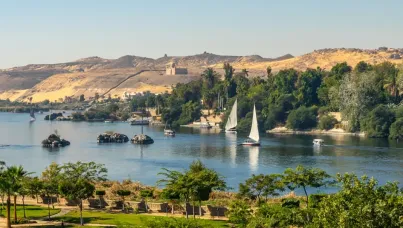 Ipsos update Février 2026