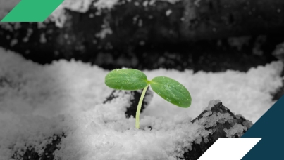 Don’t Mistake Stability for Endurance