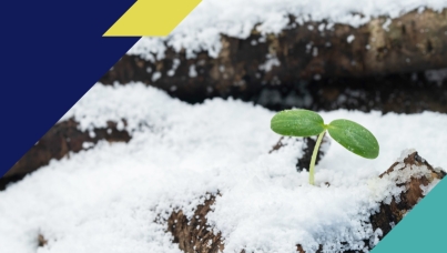 Endurance Economy Insights Hub