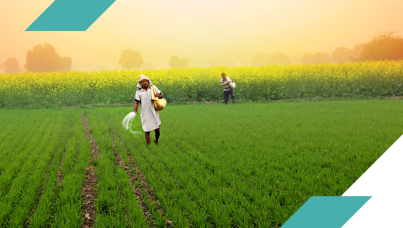 Hard-to-Reach Populations