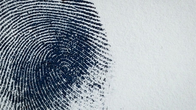 Anthropology | Ipsos