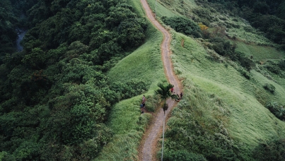 Es führt ein Weg über einen Berg mit Wäldern.