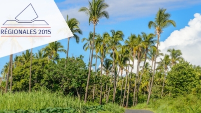 Bilan des élections régionales à la Réunion