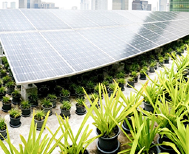 Sustainable Development