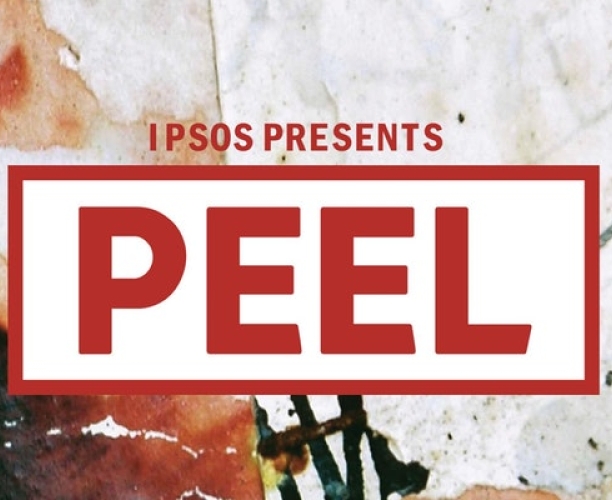 Ipsos PEEL