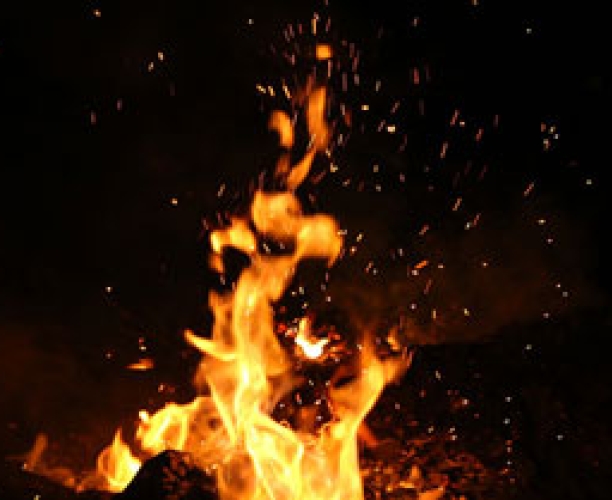 Understanding Category Trends in the Age of the Consumer